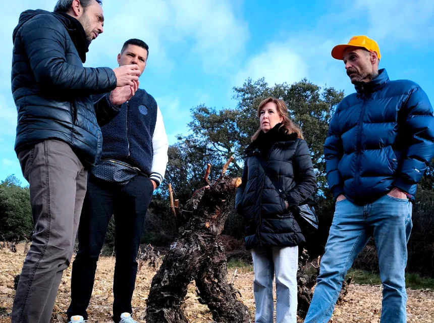 Lee más sobre el artículo 5 Chefs internacionales recorren Aragón para conocer su gastronomía y alimentos nobles. 